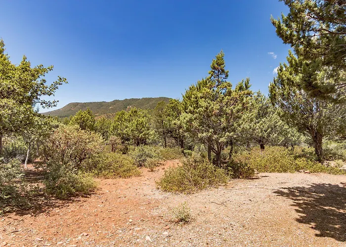 Holiday home Glass House Elk Rim Pine